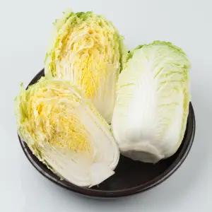 해남 통배추(포기 당 3kg 이상) 5포기