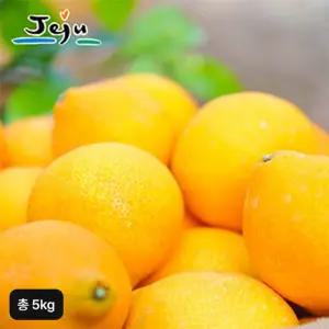2025년 햇 제주황금향 5kg (2.5kg+2.5kg)