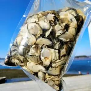 제철 통영 생굴 실속구매 3kg 4kg