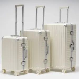 비기캐리어 렉스 TSA 금고형 프레임 PC소재 화물용 캐리어 65cm 24인치)