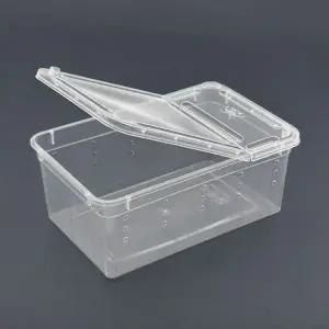 [콩심팥심]투명 양뚜껑 사육통 크레스트게코 파충류 곤충 관찰용