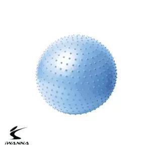 고품질 PVC 마사지 짐볼 65cm 알라스칸블루 (WFFWFIG)