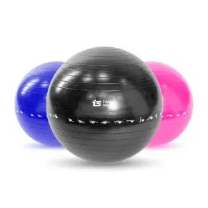 티에스 짐볼 65cm 필라테스 요가 스트레칭 코어운동
