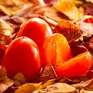 전라도 고당도 대봉시(홍시) 10kg(중대과)