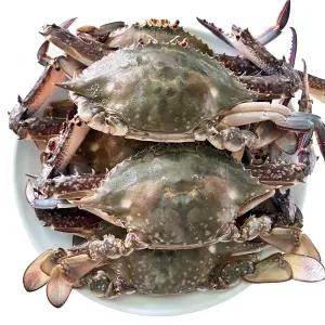 서해안 꽃게 냉동꽃게 세척후 드시면 됩니다 선도 보장 사이즈 혼합(암수혼합)3kg포장발송