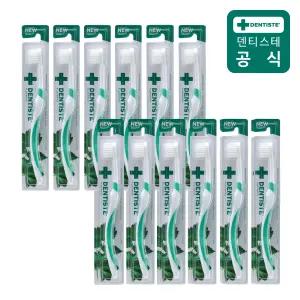 덴티스테 작은모 칫솔 12개(단일색상)