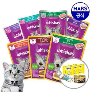 위스카스팩 파우치 24개 골라담기+쉬바캔+캣닢쿠션+템테이션12gx3개