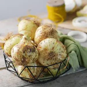 [감동]국내산 양파 5kg 특/요리용