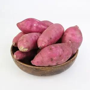 세척 꿀 밤고구마  중)3kg 5kg