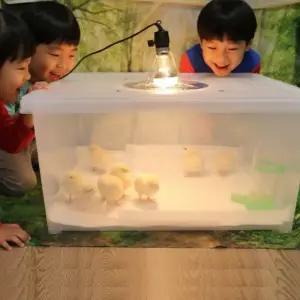 (X4 동물부화-사육용히터) 특대형(기본형) 병아리육추기  /   메추리육추기 병아리집 메추리집