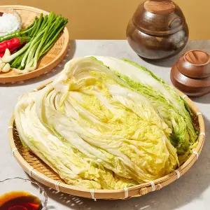 [신세계푸드][품질보장][지정일 배송가능] [올반키친] 절임배추 20kg_제주택배불가(무료배송)