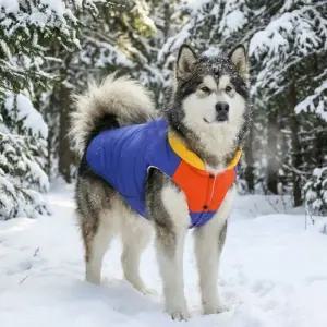 중형견 패딩 대형견패딩 대형견옷 중형견옷