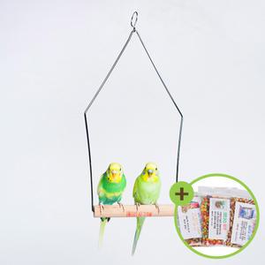 스텐그네(대) 나무횃대 왕관 모란 코뉴어 그네 장난감 애완조 장난감 그네