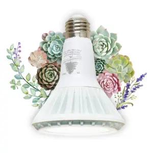 일광 식물 LED 전등 생장등 램프 태양 조명 다육이 전구