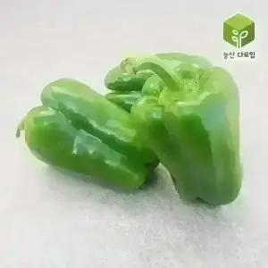 청피망(특) 10kg