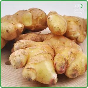 [신선연구소] 서산 전영운님의 25년산 일반생강 2kg 특품