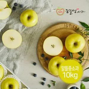 [장길영사과] 시나노 골드 알뜰 중소과 10kg (33~46과내)