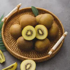 보성 참다래 골드키위 5kg (쥬스용)