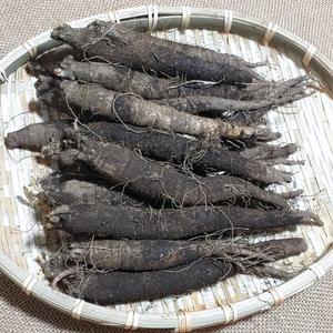 제주도 더덕 제주더덕1kg 특/상/중