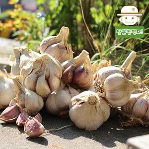 [삼촌밥먹자]무안직송 황토밭 통마늘(남도/대) 1kg 밭마늘