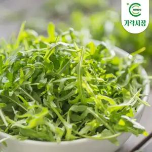 [온도씨]가락시장 당일경매 와일드루꼴라1kg