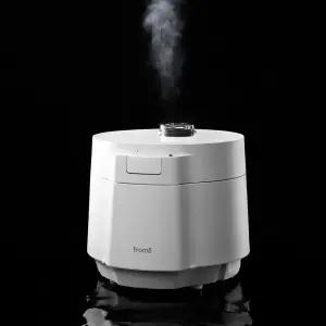 프롬비 100도 가열식 가습기 FD233