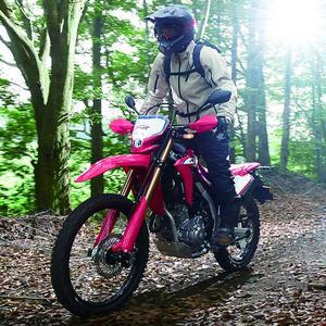 CRF300L 2024년식 신차 옵션선택가능 혼다코리아 정식수입