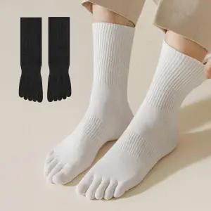 아트박스/더바디시크릿 발가락양말 장목 4족세트101300