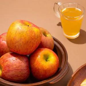 [더조은푸드][더조은] 알뜰 꿀사과 부사사과 10kg 주스용