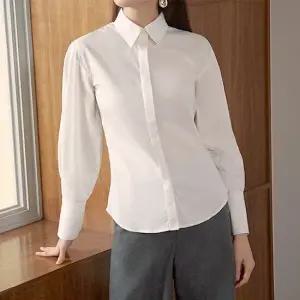 데일리 카라 셔츠 1종