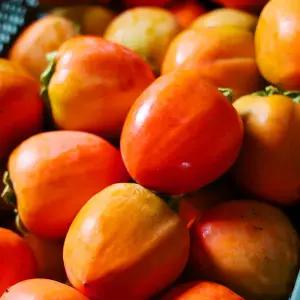 특품 국내산 햇 대봉감 5kg(16-20과)