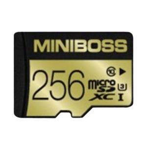 [에스투씨엔아이]테라토닉 미니보스 MicroSDXC UHS-I Class10 MLC 256GB
