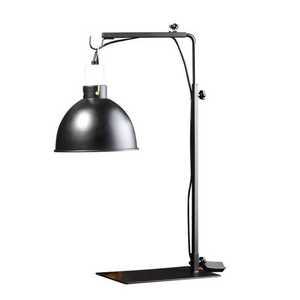 거북이 도마뱀 다육식물 걸이식 조명 스탠드 UVB 태양등