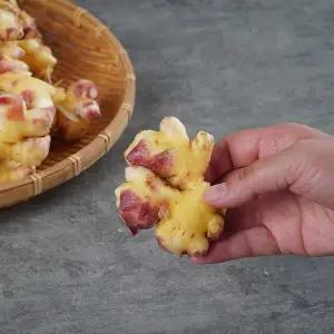 즙용 세척생강 10kg