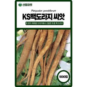 산들마켓 백도라지 씨앗 1000립 흰 꽃의 재래종 도라지에서 선발한 토종 국내산 고급 품종 종자