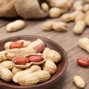 굿모닝너츠 피땅콩 2봉/총1kg내외