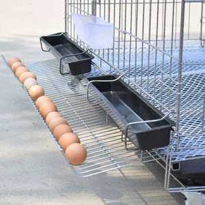 닭장 사육장 케이지 둥지 가금류 새장 산란통
