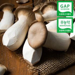 [친환경 무농약 GAP] 국내산 새송이버섯 꼬마 2kg 특