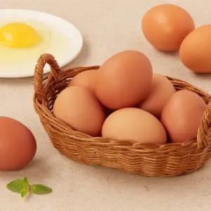 후레쉬 동물복지란 (30구, 특란)