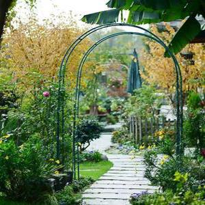 포도나무 식물 지지대 넝쿨 장미 가든 클레마티스 아치 덩굴