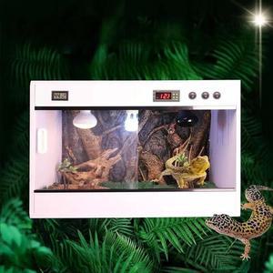 3자사육장 크레 소라게 테라리움 온도조절 도마뱀