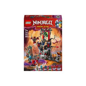 레고 닌자고 71841 드래고니안 스톰 빌리지
