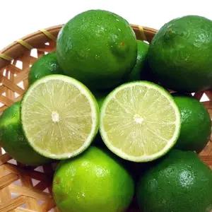 멕시코 라임 10과 대과 썬키스트 라임 950g 생라임 페르시안 라임 신과일