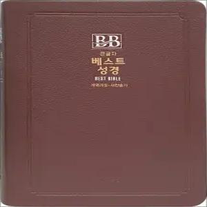 [카드10%] [비치용] 큰글자 베스트 성경 개역개정 새찬송가 (인쇄 없음) - 중(中)/색인 /무지퍼 (브라운)