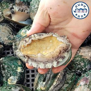 삼남매네 완도활전복 왕특대 7-8미 1kg 산소포장