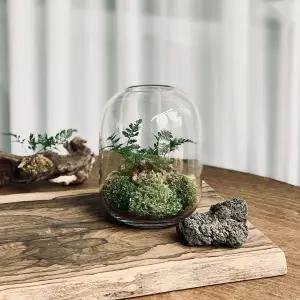 프로도 이끼 테라리움 DIY 키트