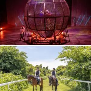 [제주] 아트서커스+더마파크 /공연 전시 승마