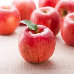 (가정용) 경북 꿀사과 중소과 10kg 안동 청송 맛있는 못난이 흠집 흠과 한박스