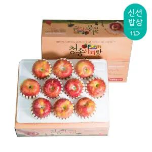 청송사과 정품 2.5kg 8-10/중과/팬캡포장 /홍로 햇사과