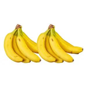 이맛난 고랭지 바나나 2손 2.4kg내외